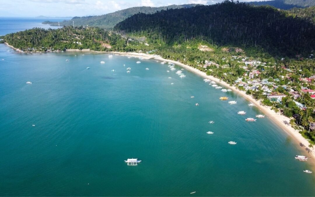 Discover the Unrivaled Charm of San Vicente, Palawan: A Paradise of Beachfront Properties for Sale